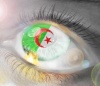كلنا عرب.......كلنا جزائر 0eil_a10